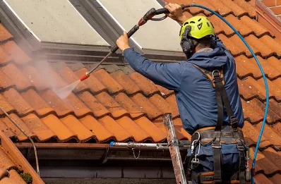 Démoussage et hydrofuge de toiture à Gorrevod
